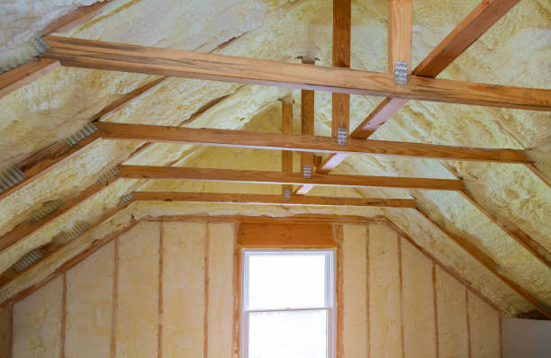 Best Specialized Insulation Services in Inverness Highlands South, FL